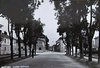 1946 Corso di Porta Novara.jpg