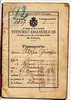 1899 Passaporto.jpg