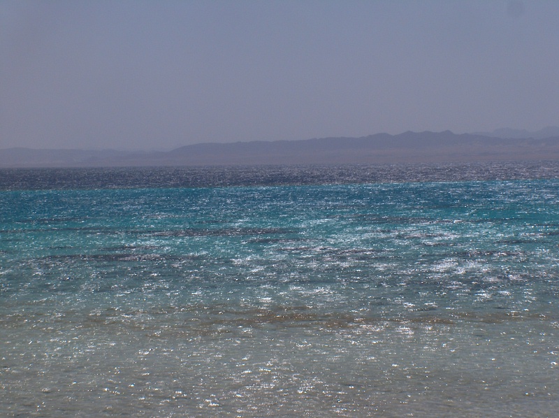 Sharm El Luli d.JPG